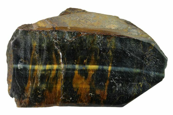 Polished Tiger's Eye Section - South Africa #148266